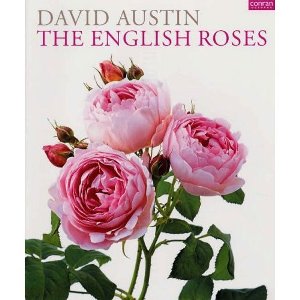 David Austin The English roses